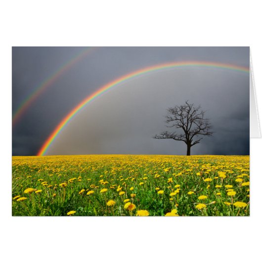 Double Rainbow Cards (Front Horizontal)