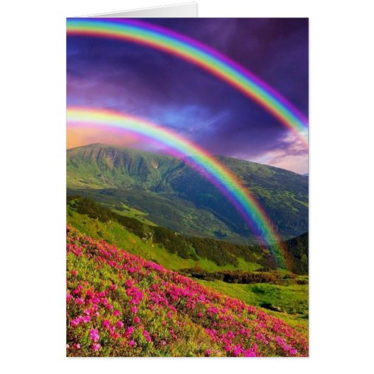Double Rainbow Landscape Cards (Front)