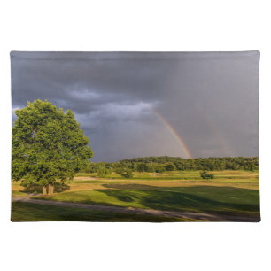 Double Rainbow Through Rain Cloth Placemat