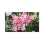 Double Red and White Azaleas Spring Floral Business Card