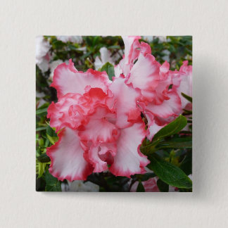 Double Red and White Azaleas Spring Floral Button