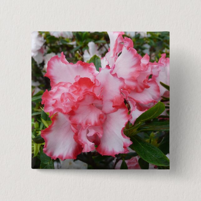 Double Red and White Azaleas Spring Floral Button (Front)