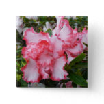 Double Red and White Azaleas Spring Floral Button
