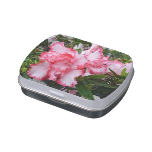 Double Red and White Azaleas Spring Floral Candy Tin (Side)