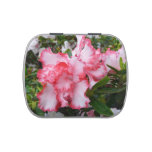 Double Red and White Azaleas Spring Floral Candy Tin