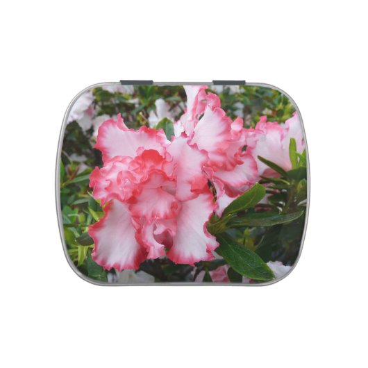 Double Red and White Azaleas Spring Floral Candy Tin (Top)