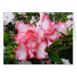 Double Red and White Azaleas Spring Floral Card