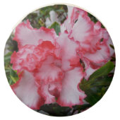 Double Red and White Azaleas Spring Floral Chocolate Covered Oreo (Front)