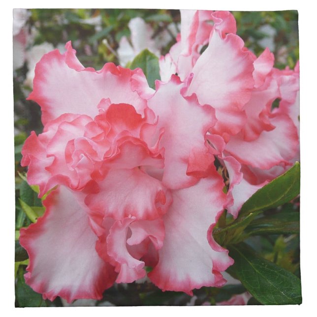 Double Red and White Azaleas Spring Floral Cloth Napkin (Front)