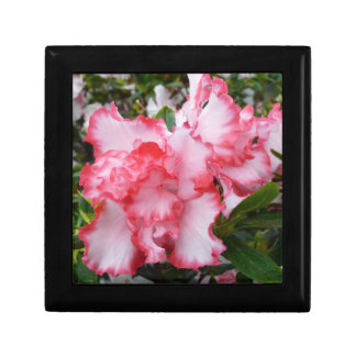 Double Red and White Azaleas Spring Floral Jewelry Box