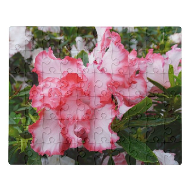Double Red and White Azaleas Spring Floral Jigsaw Puzzle (Puzzle Horizontal)