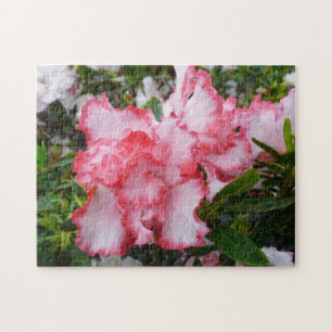 Double Red and White Azaleas Spring Floral Jigsaw Puzzle