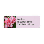 Double Red and White Azaleas Spring Floral Label