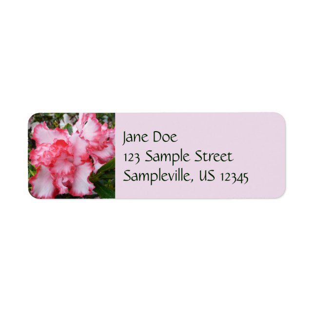 Double Red and White Azaleas Spring Floral Label (Front)