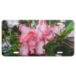 Double Red and White Azaleas Spring Floral License Plate