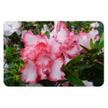 Double Red and White Azaleas Spring Floral Magnet