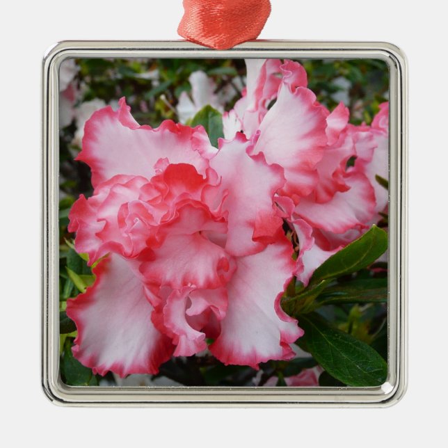 Double Red and White Azaleas Spring Floral Metal Ornament (Front)