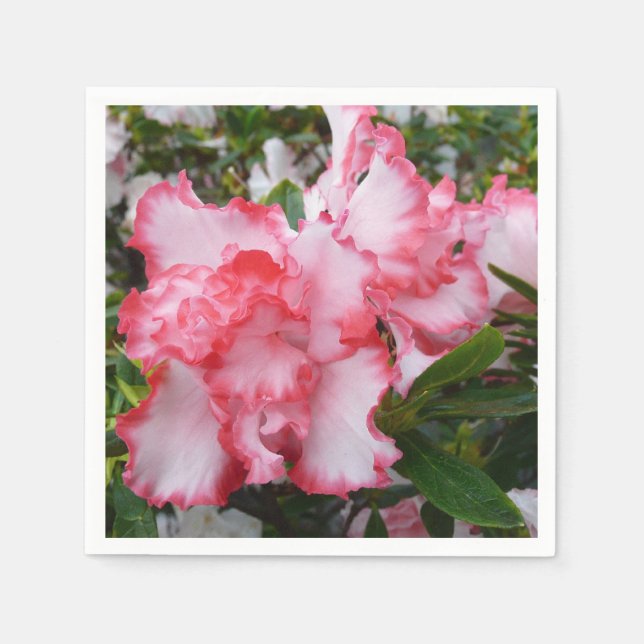 Double Red and White Azaleas Spring Floral Napkins (Front)