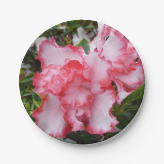 Double Red and White Azaleas Spring Floral Paper Plates