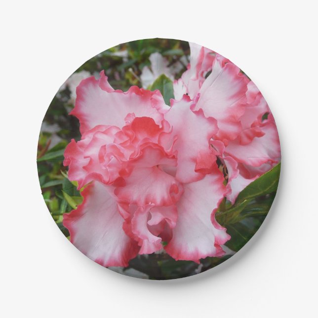 Double Red and White Azaleas Spring Floral Paper Plates (Front)