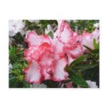 Double Red and White Azaleas Spring Floral Postcard