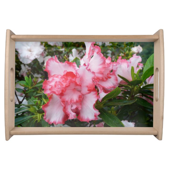 Double Red and White Azaleas Spring Floral Serving Tray (Front)