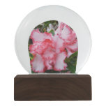 Double Red and White Azaleas Spring Floral Snow Globe