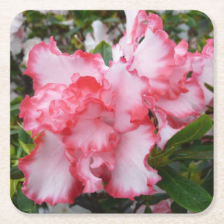 Double Red and White Azaleas Spring Floral Square Paper Coaster