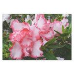 Double Red and White Azaleas Spring Floral Tissue Paper
