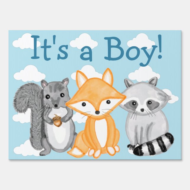 Double Sided Baby Shower is Here and Its a Boy! Si Sign (Front)