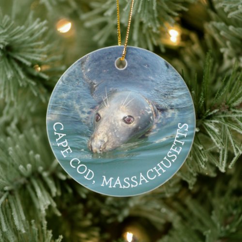 Double Sided Cape Cod Seals Photography Christmas Ceramic Ornament