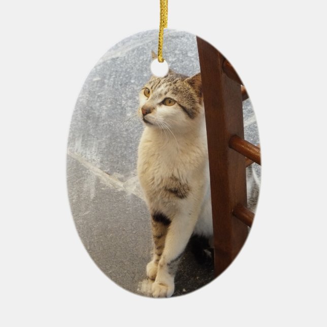 Double-Sided Cat ornament (Front)