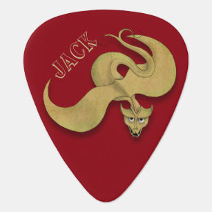 Double-Sided Dragon Songs Guitar Pick
