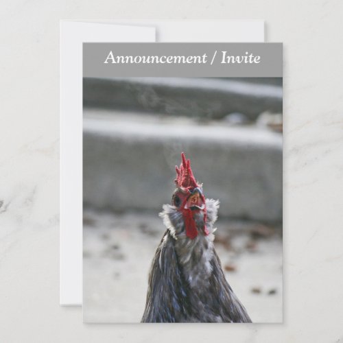 Double Sided Invitaion Rooster Invitation