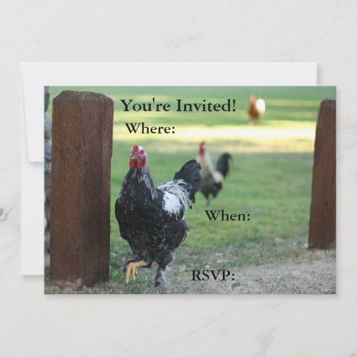 Double Sided Invitation Rooster Invitation