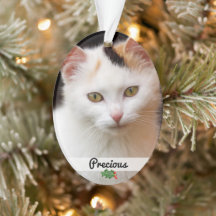 Double Sided Pets Photo Name Acrylic Ornament