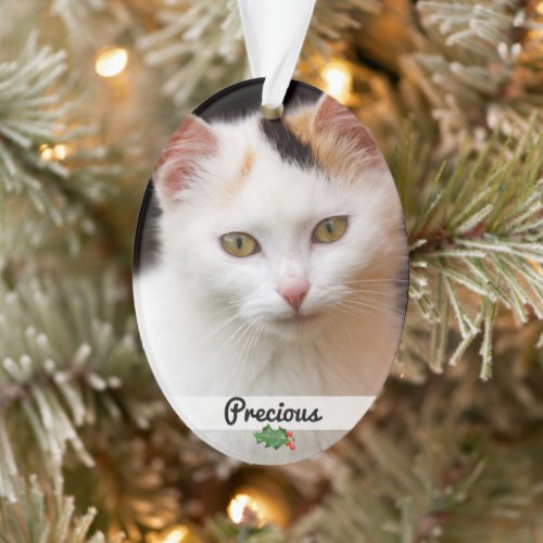 Double Sided Pets Photo Name Acrylic Ornament