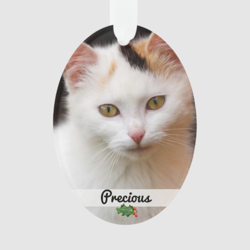 Double Sided Pets Photo Name Ornament