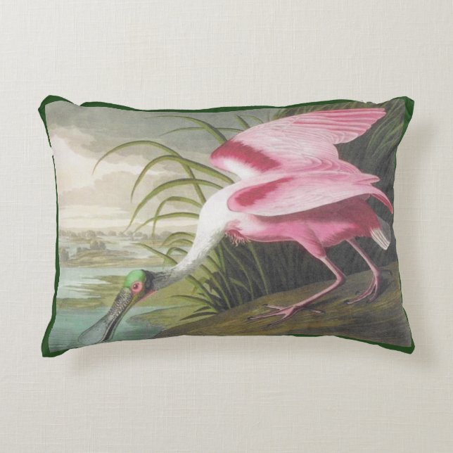 Double-sided Pink Green Audubon Spoonbill Bird Accent Pillow (Front)