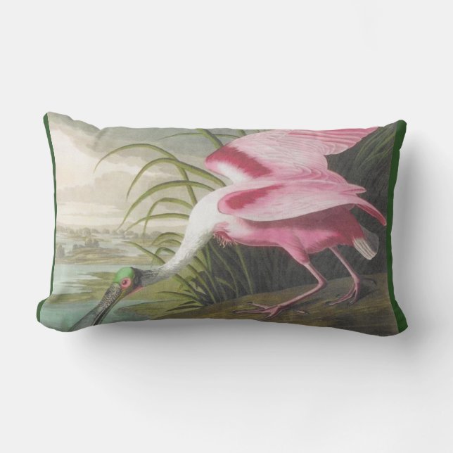 Double-sided Pink Green Audubon Spoonbill Bird Lumbar Pillow (Front)