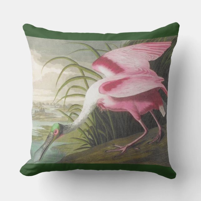 Double-sided Pink Green Audubon Spoonbill Bird Throw Pillow (Front)