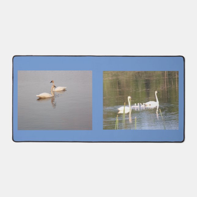 Double Swan Photo Desk Mat (Front)