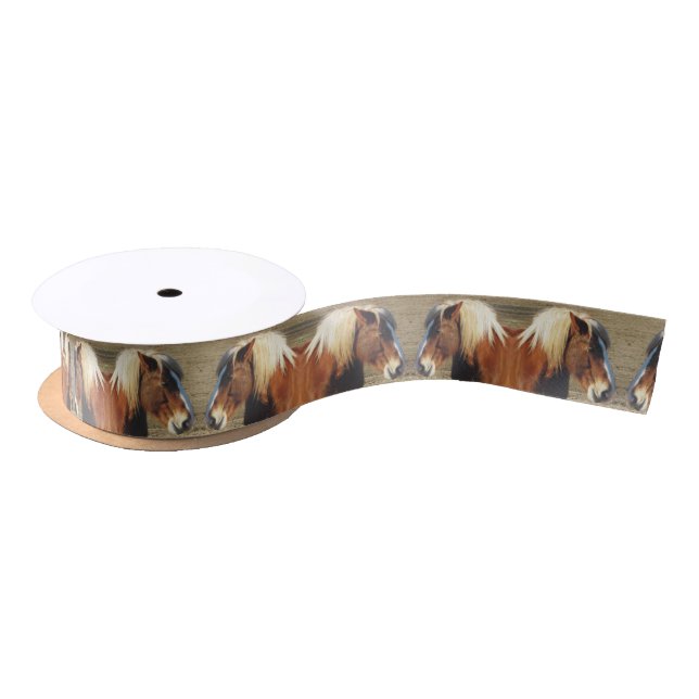 Double Take Horse Craft Ribbon (Spool)