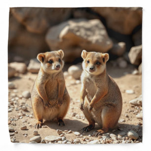 "Double the Cuteness: Aussie Quokka Twins" Bandana