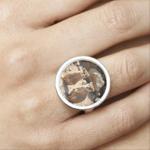"Double the Cuteness: Aussie Quokka Twins" Ring