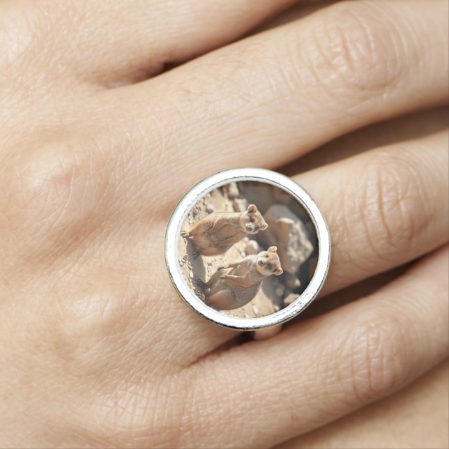 "Double the Cuteness: Aussie Quokka Twins" Ring (In Situ)