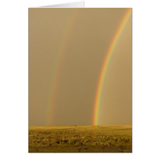 Double the Love Cards