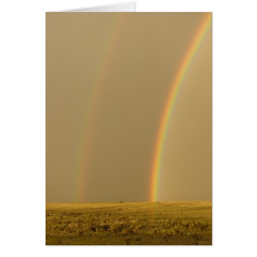 Double the Love Cards (Front)