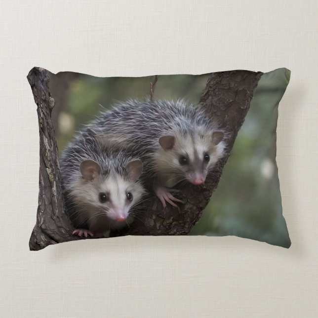 Double Trouble in the Canopy: Twin Possums Accent Pillow (Front)