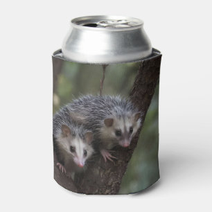 Double Trouble in the Canopy: Twin Possums Can Cooler